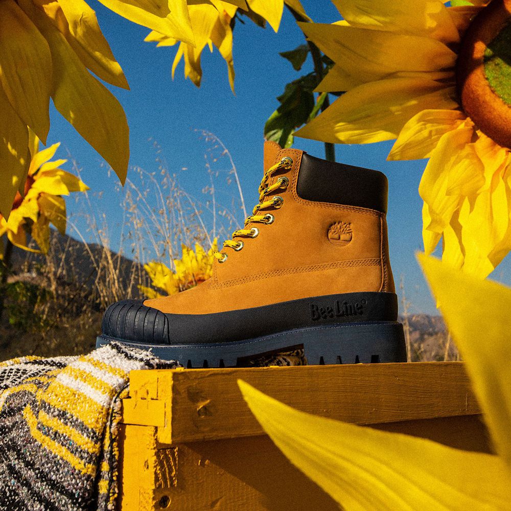 Botas Masculino - Timberland 6-Inch Bee Line X Impermeavel Rubber Toe - NLITV3761 - Marrom/Azul Mari